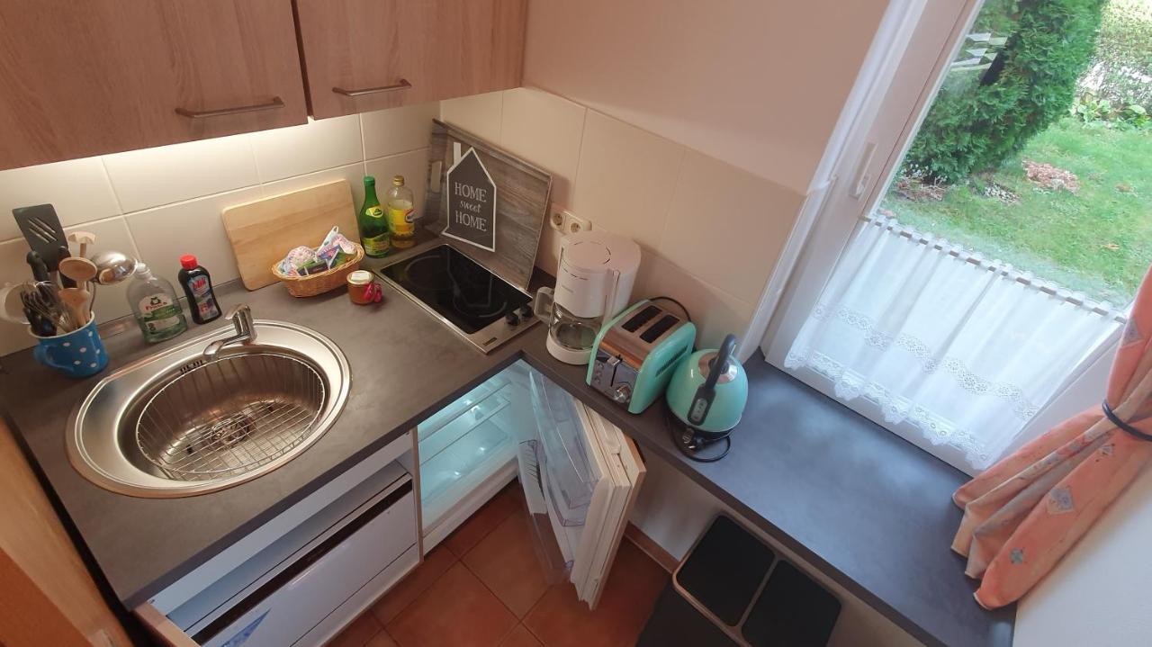 Ferienwohnung Am Dresdner Elbhang دريسدن المظهر الخارجي الصورة