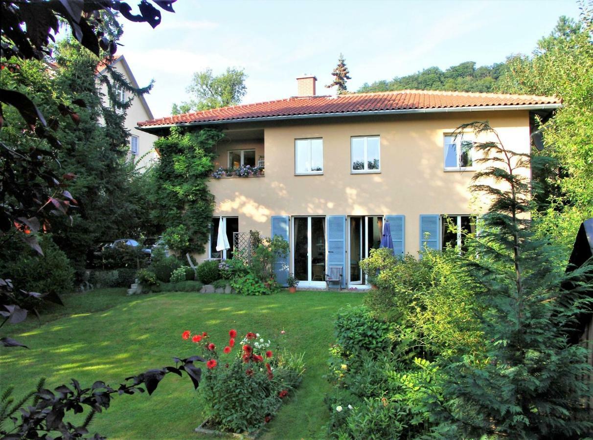 Ferienwohnung Am Dresdner Elbhang دريسدن المظهر الخارجي الصورة